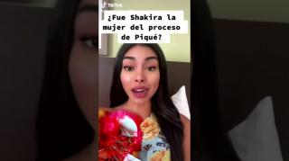Fue Shakira la mujer del Proceso de Pique...No lo creo