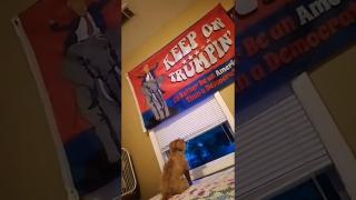 Traitors & Idiots all around ya!!!!! ????????