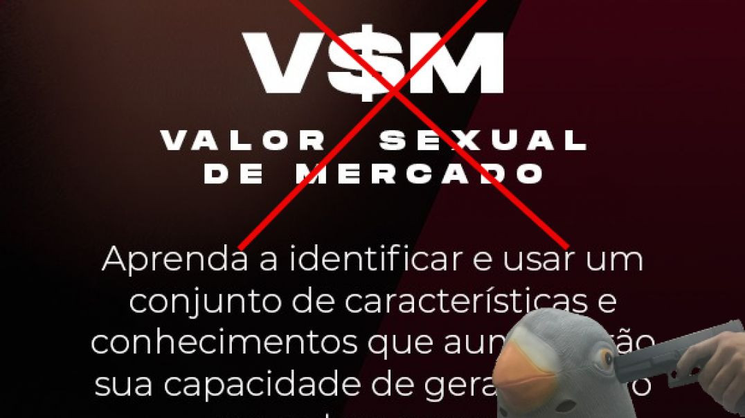 Aumente seu PDD, não o seu VSM (VSM É COISA DE GADO SIM)