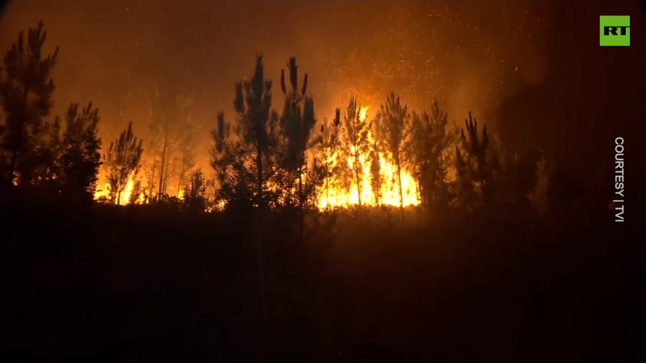 Massive wildfires ravage Portugal