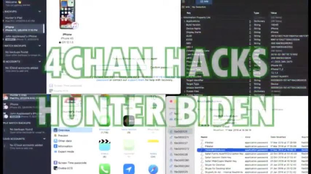 How 4Chan Hackers Got Into Hunter Biden’s iCloud