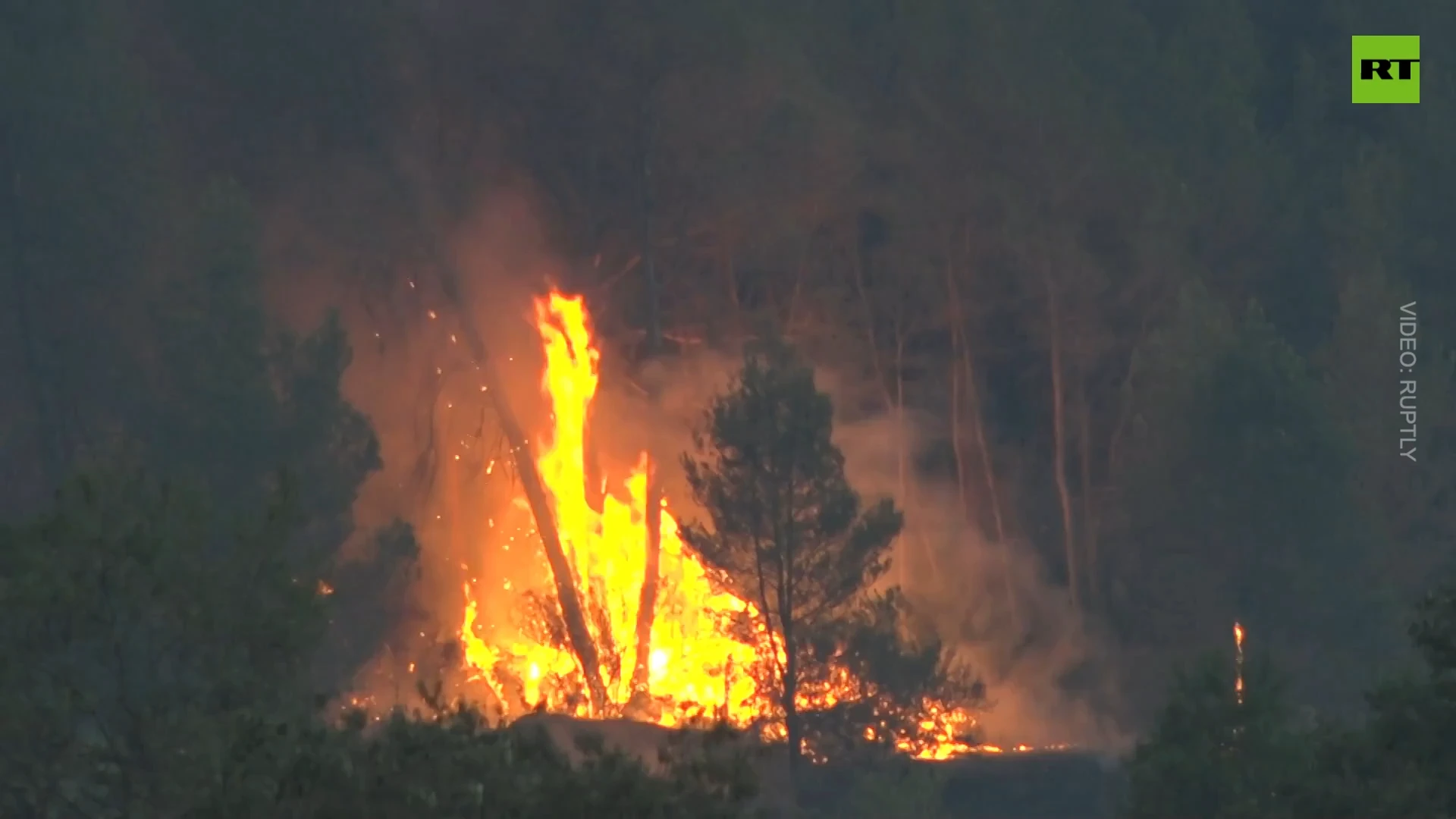 Wildfires ravage 1,200 hectares in Barcelona province, forcing evacuations