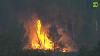 Wildfires ravage 1,200 hectares in Barcelona province, forcing evacuations