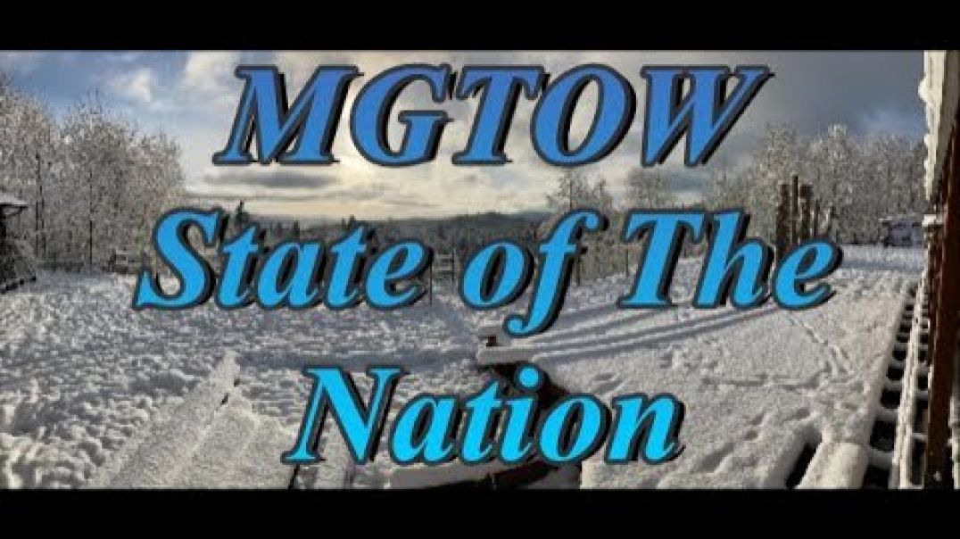 MGTOW: State of The Nation