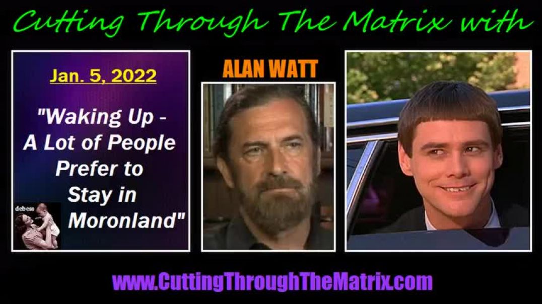 Waking Up - A Lot of People Prefer to Stay in Moronland - Alan Watt