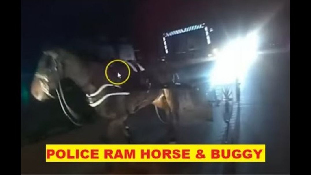 Stupid Cop Blocks Horse Causes Injury & Then Blames The Horse - Earning A Cow Patty