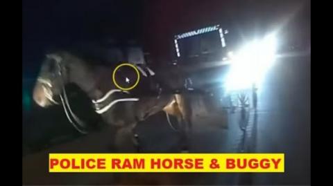 Stupid Cop Blocks Horse Causes Injury & Then Blames The Horse - Earning A Cow Patty