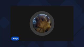 Morning everyone.. Breakfast, & PSD training this morning. Happy Friday!