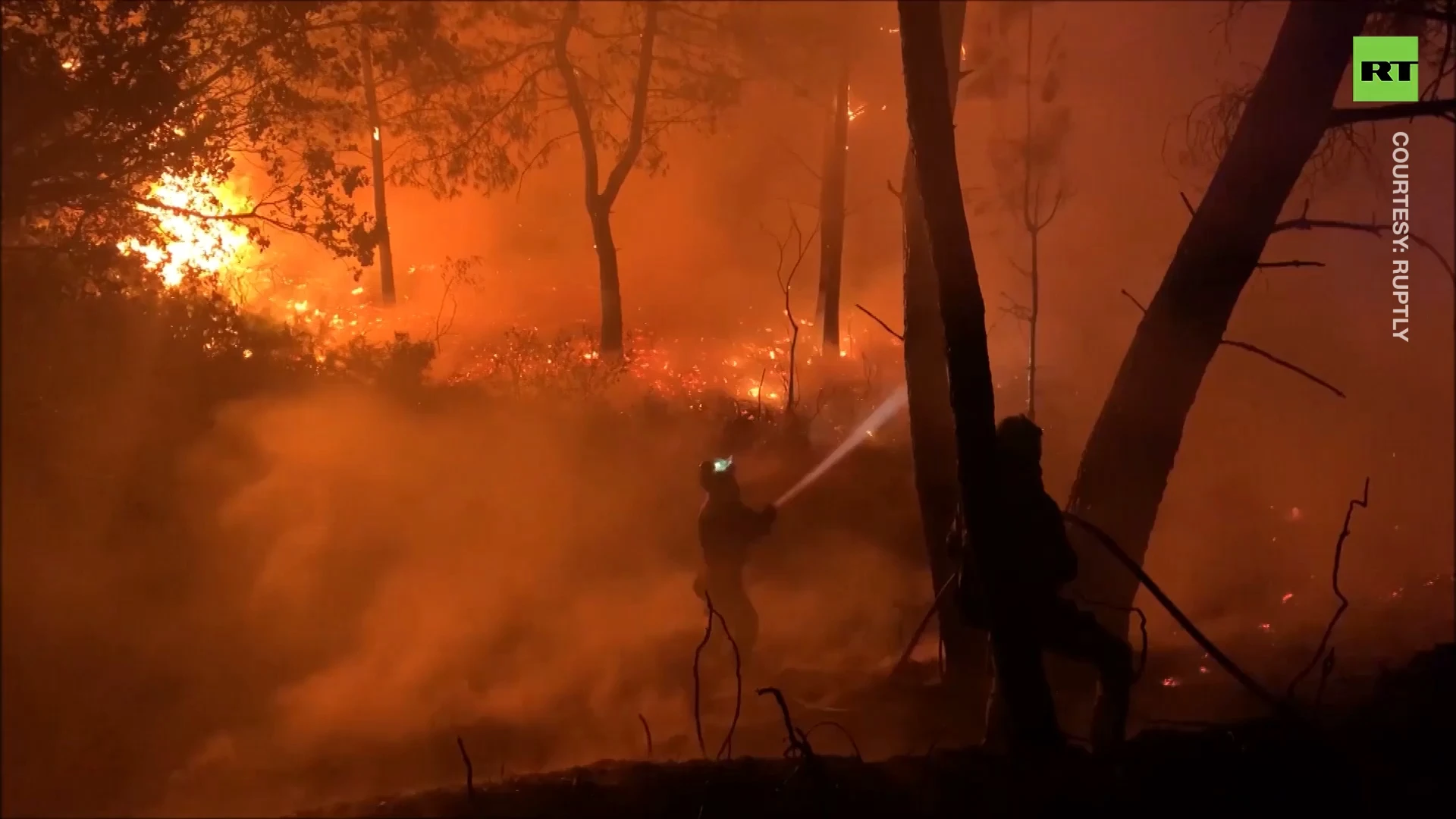 Forest inferno rages through Spain