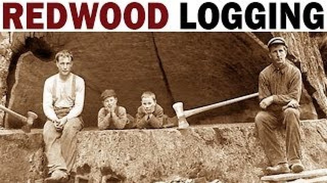 Redwood Logging - 1946 - Documentary on the Giant Redwood Lumber Industry in California