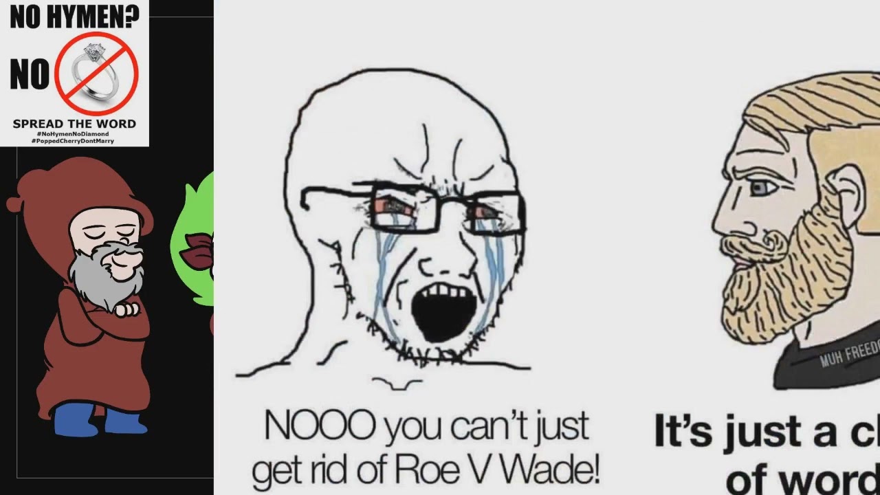 Roe v Wade Meme Review