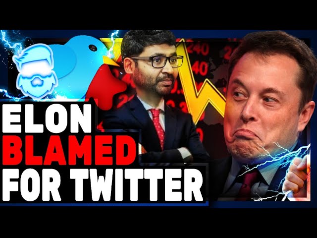 Twitter Revenue Collapses As Elon Musk Gets Blamed! Social Media Reckoning Is Happening!