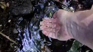 The fountain of life