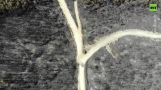 Fire destroys ‘most important part’ of Dadia National Park in Greece