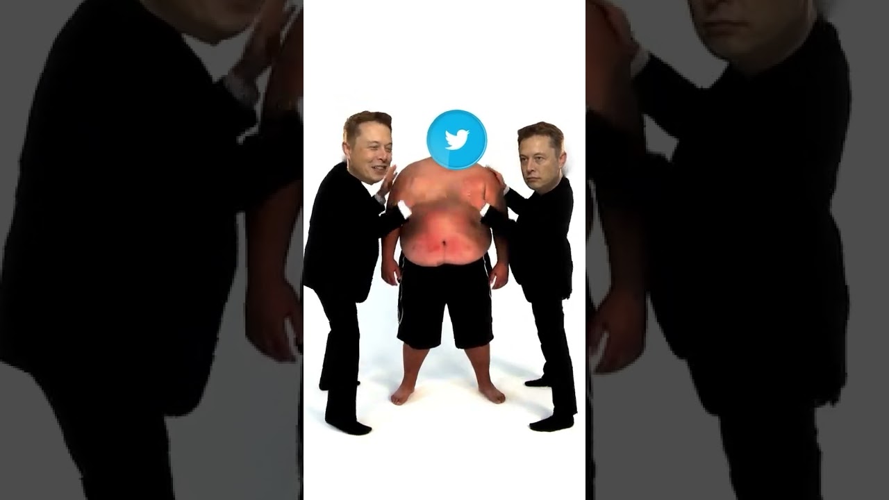 Elon Musk Dominates Twitter!