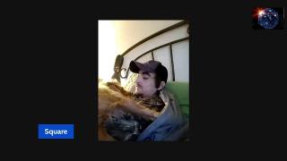 Noon Stream (Reviewing Video's & watching them) c