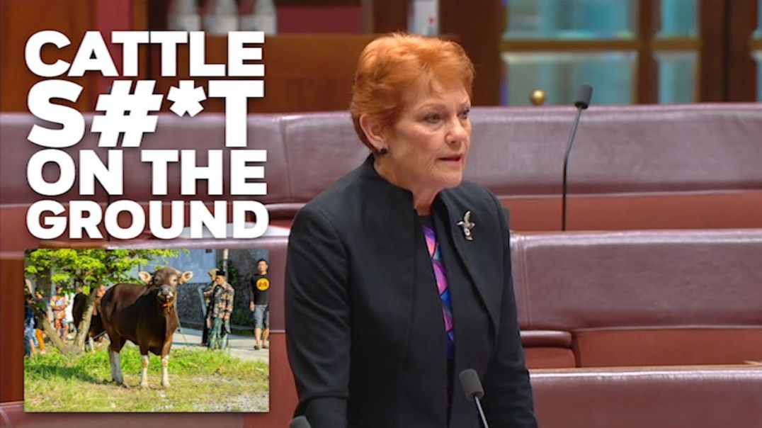 Pauline Hanson responds to Misleading Murray - Foot and Mouth Disease