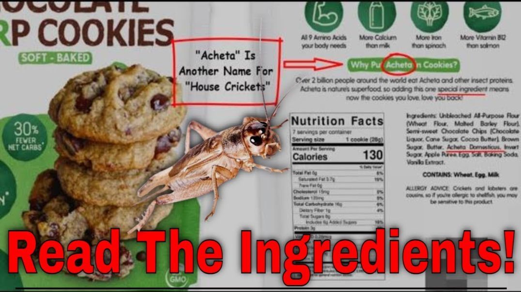 DID YOU KNOW: SOME BIG FOOD COMPANIES ARE ADDING CRICKETS TO COOKIES, SNACKS, & BREAD