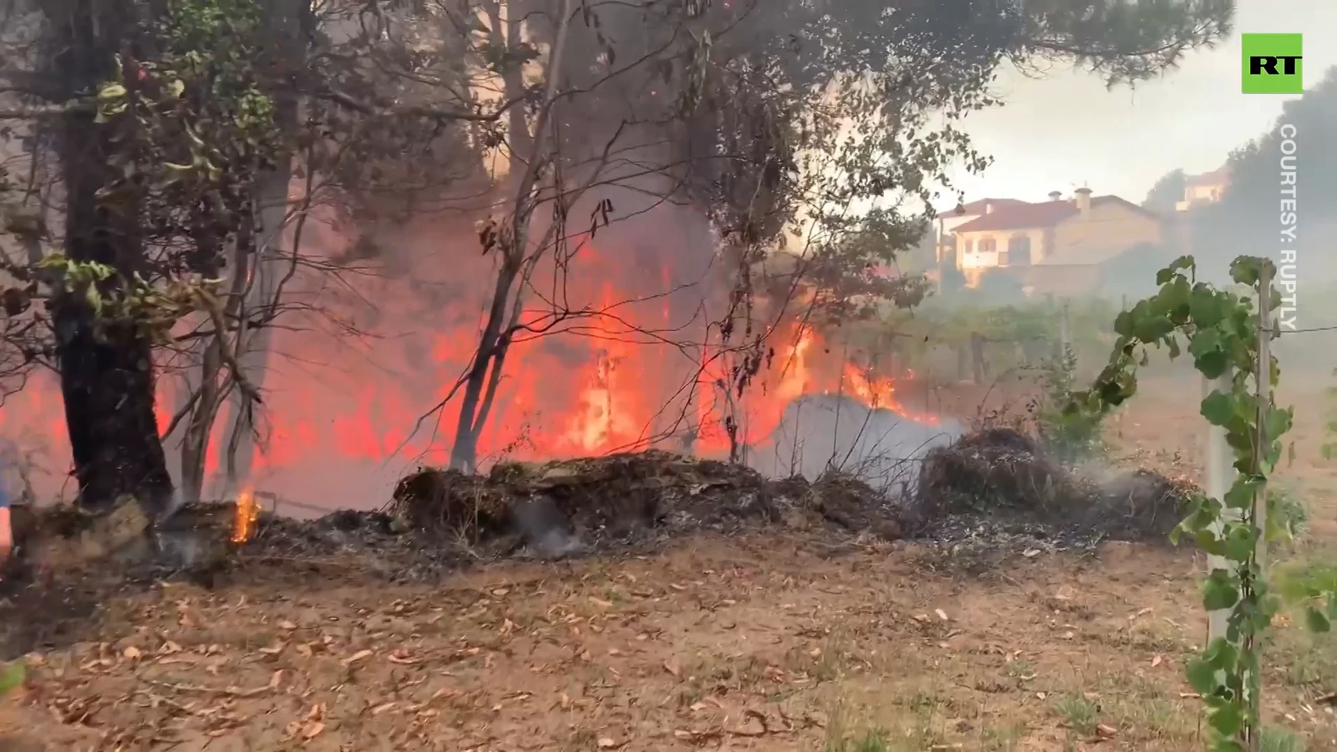 Flames consume Portugal vineyards