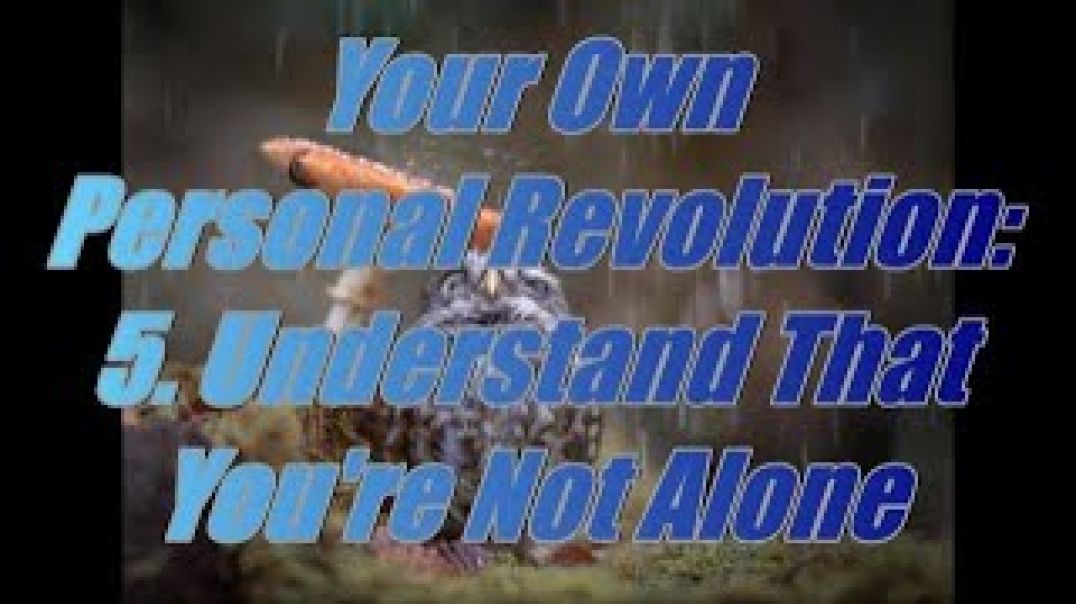 Your Own Personal Revolution Pt5: Understand That You're Not Alone