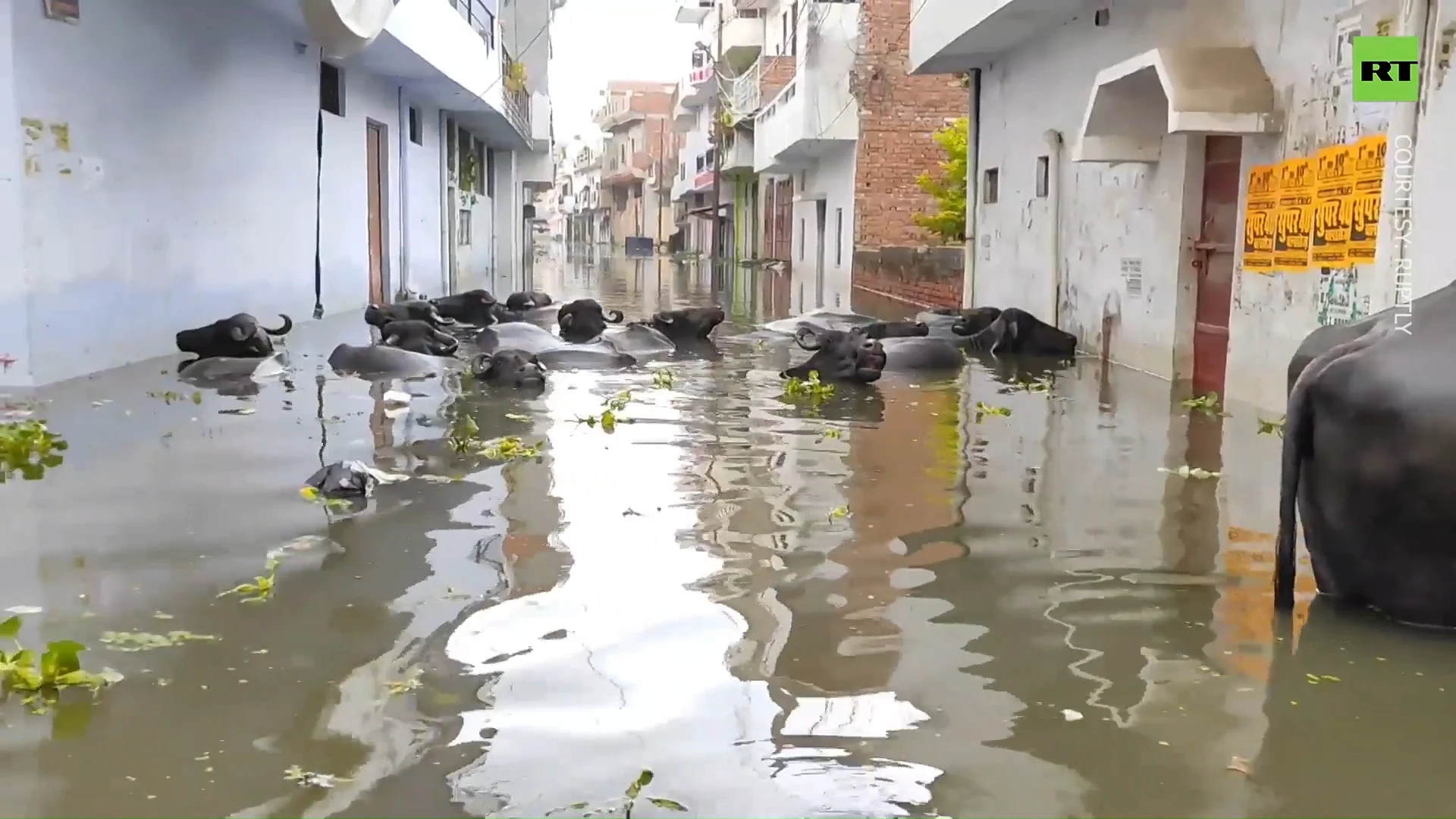 Floods ravage India, thousands forced to evacuate