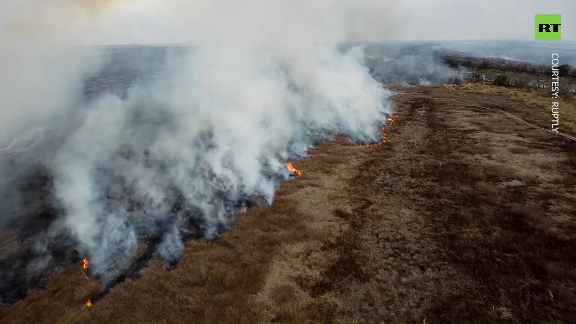 Fierce fires scorch large areas of grassland in Argentina