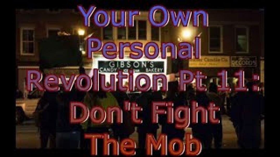 Your Own Personal Revolution Pt 11: Don't Fight The Mob