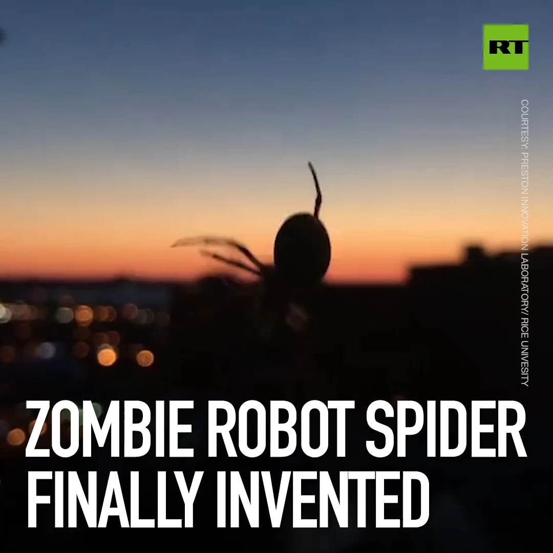 Zombie robot spider finally invented