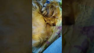 Update By order of the King ?! lol #keepitgood&hatefree