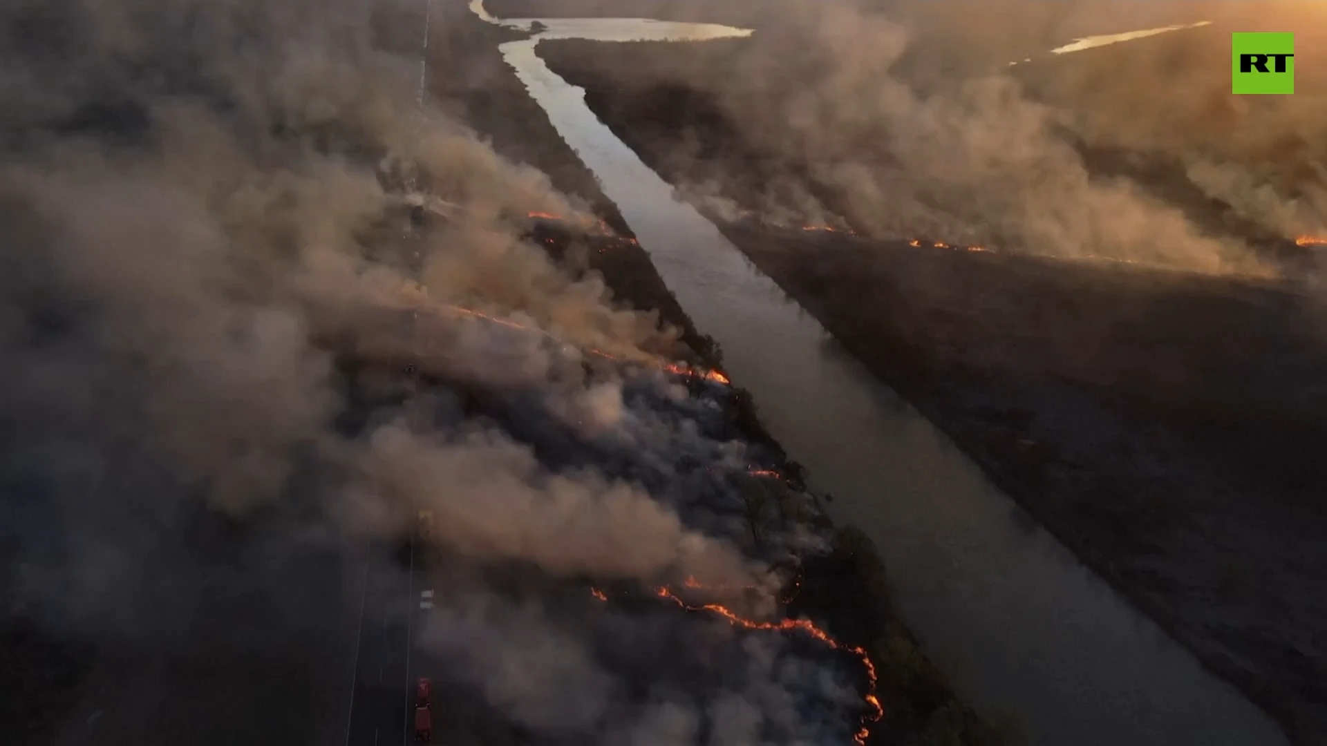 100,000 hectares of Argentina wetlands ravaged by fire