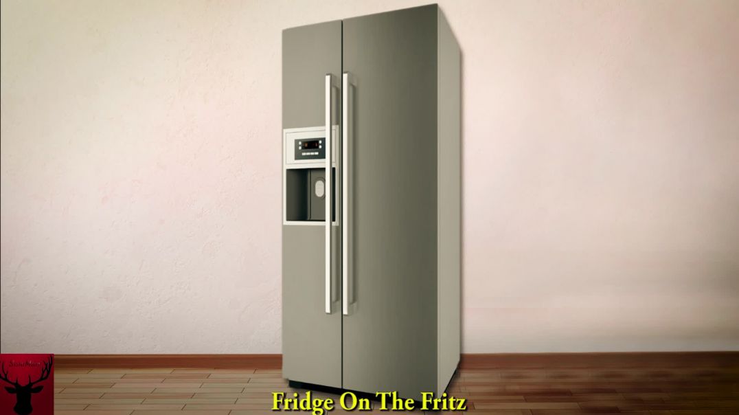 Fridge On The Fritz