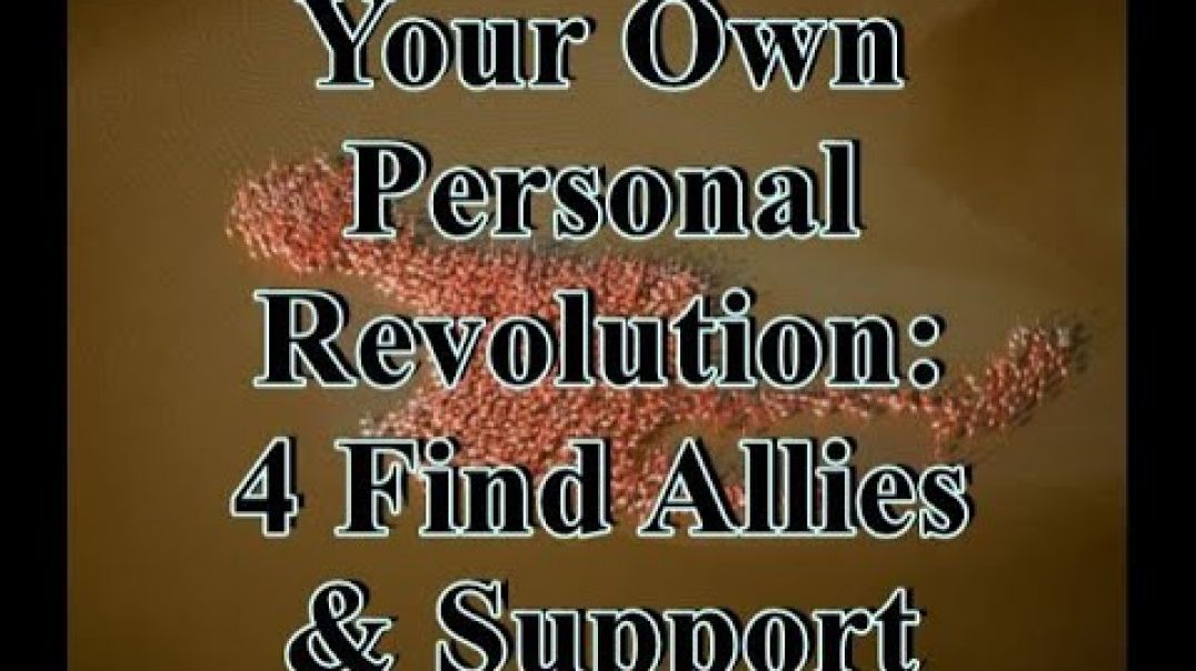 Your Own Personal Revolution: 4 Find Allies and Support