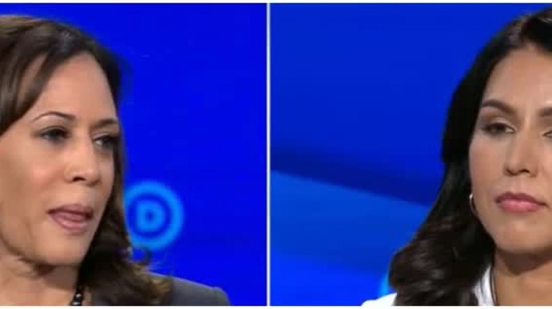 TULSI vs KAMALA