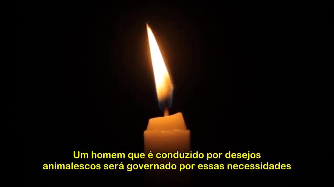 Mariposas para o fogo e o homem recondicionado - Lazarus