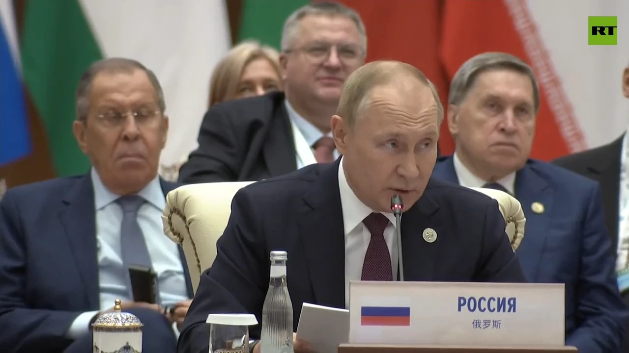 Russia ready to provide fertilizers to developing nations free of charge – Putin