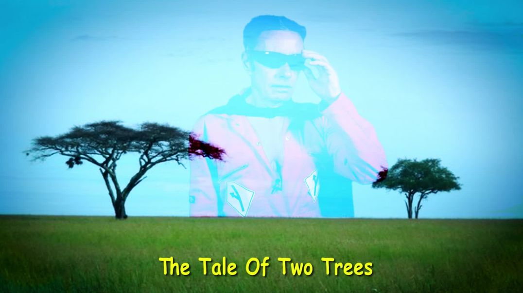 The Tale Of Two Trees