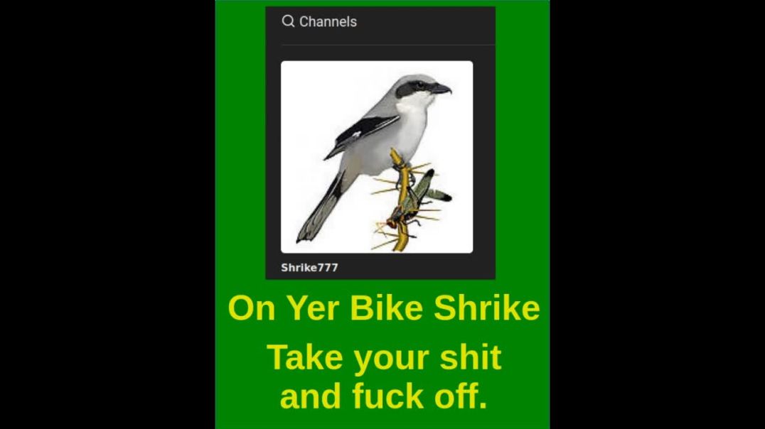 On Yer Bike Shrike - Boundry Setting with Idiots