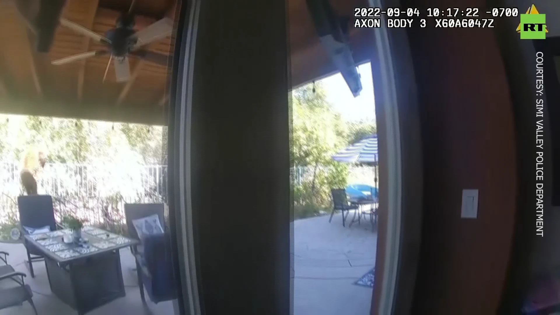 Cops chase BEAR away from kitchen