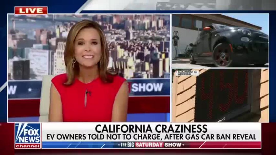 Tomi Lahren's message to Gavin Newsom: They don't have rolling blackouts in Florida