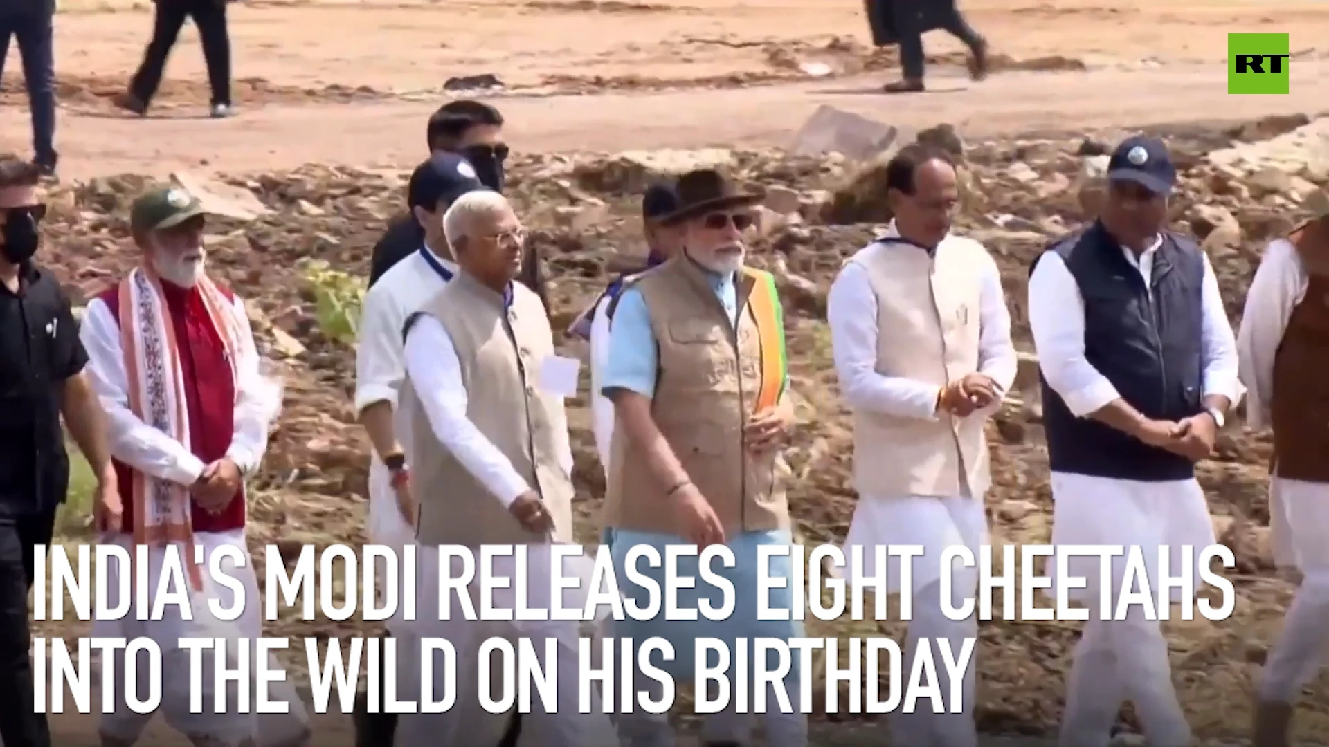 India’s Modi releases eight cheetahs into the wild on his birthday