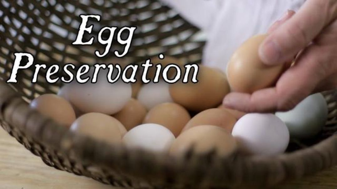 6 Historical Egg Preservation Techniques - Townsend