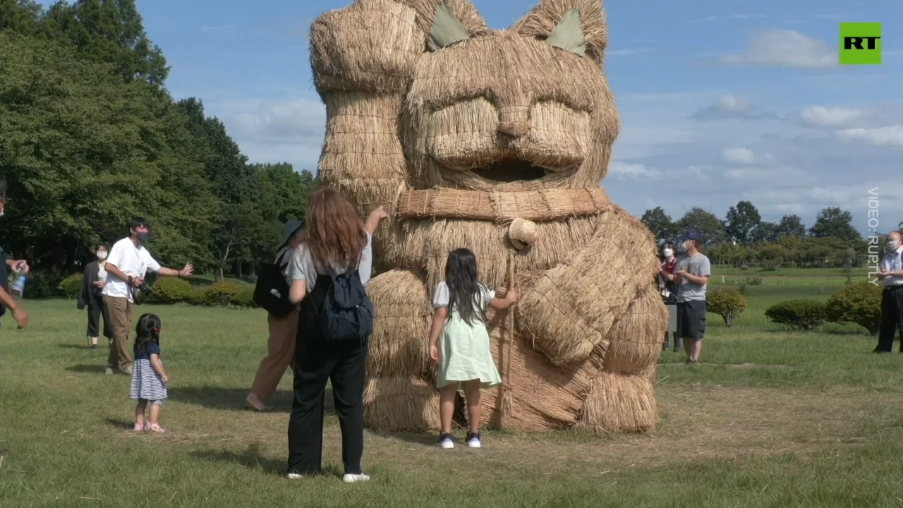 Straw all you want! Wara Art Festival takes place in Japan