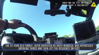 Picking A Wild Daisy