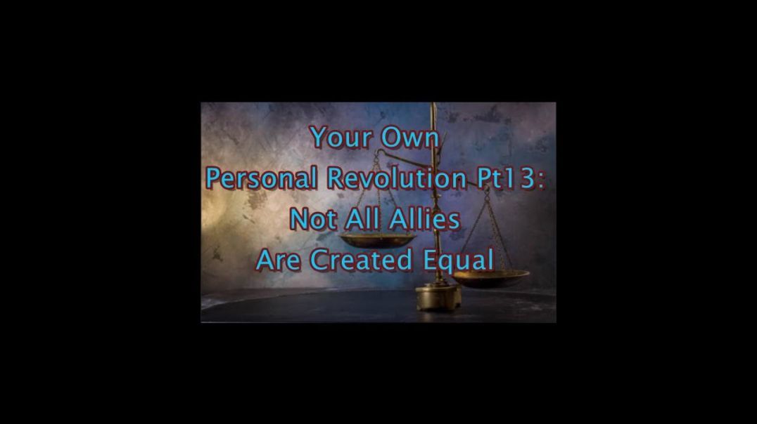 Your Own Personal Revolution Pt 13: Not All Allies Are Equal