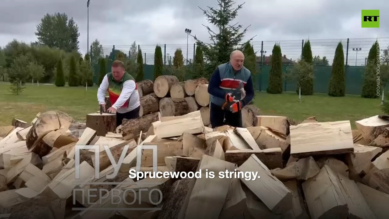 Lukashenko trolls EU by chopping firewood for them