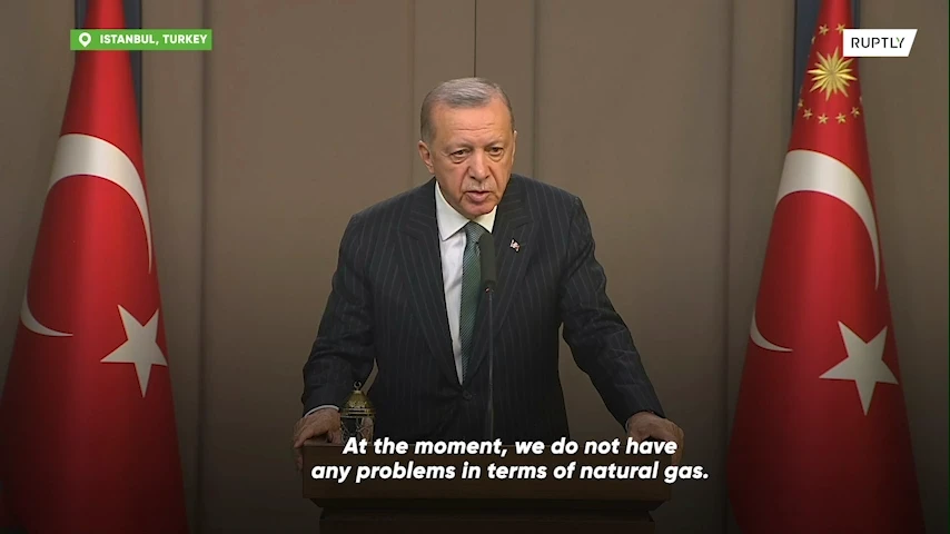 'Europe is reaping what it sows' - Erdogan on gas crisis