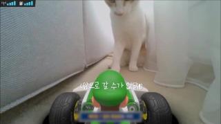 Miscellaneous Monday-Cats Play Mario Kart