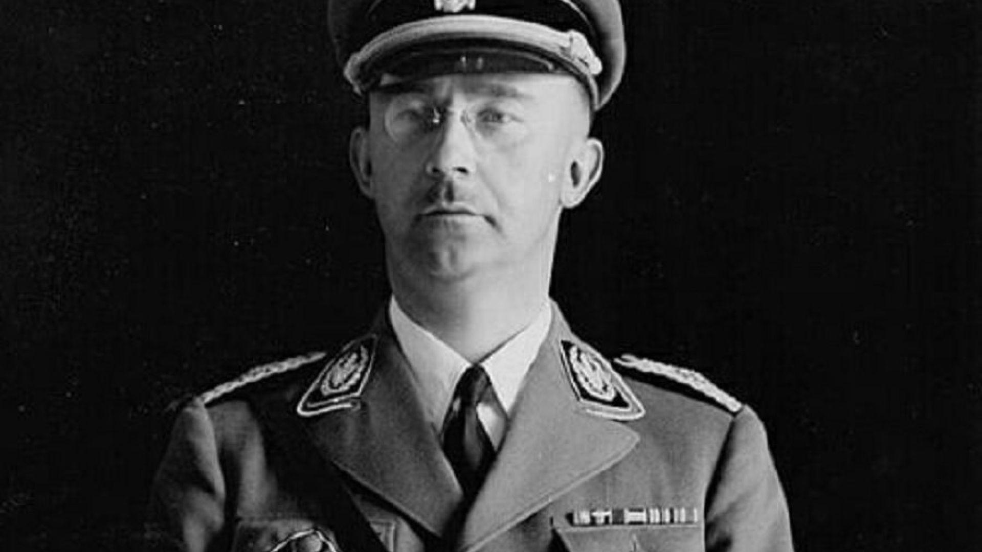 The Life and Struggles of Heinrich Himmler