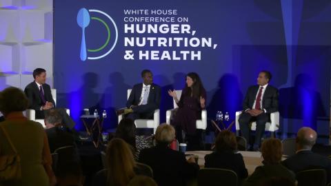 Hunger, Nutrition, and Health Sessions, Pillar 2: Integrate nutrition and health