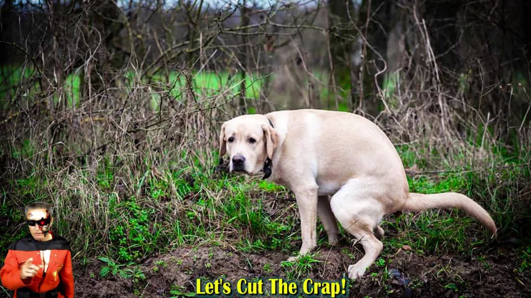 Let's Cut The Crap!